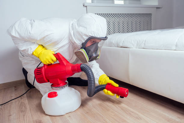 Best Flea Control Services  in Lockwood, MO